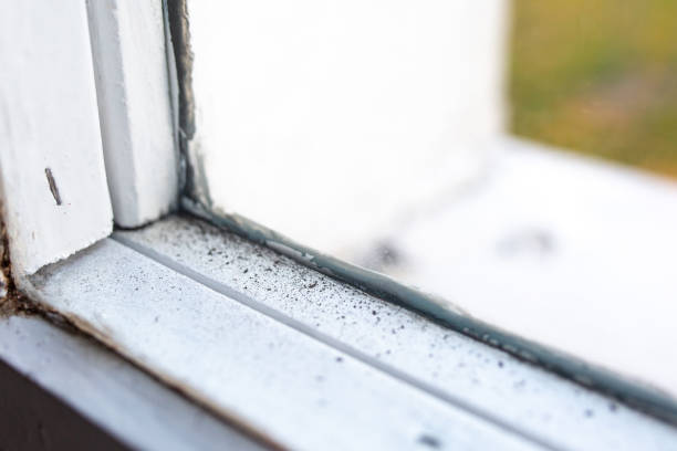Best Air Quality Testing for Mold Spores  in Center Line, MI