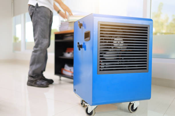 Best Mold Odor Removal Services  in Center Line, MI